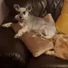 Paula - @paula..eakins - TikTok