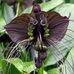 Paula Earle - Facebook