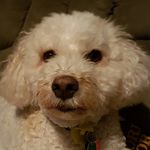 Paula Donnan Earle - @earlepaula - Instagram