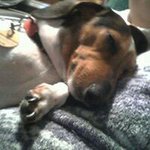 Paula Earley - @pearley58 - Instagram