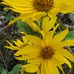 Paula Kirk Eason Eason - Facebook