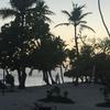 Paula_Ebner - @accountje.heyy - TikTok