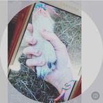 Paulineblvk - @paulatroebner - Instagram