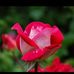 Pala Aaqif - Facebook