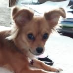Paula Edens - Facebook