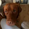 Paula Ehrhardt - @paula.ehrhardt6 - TikTok