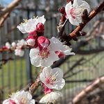 Paula Clark Eilers - @depanim5052023 - Instagram