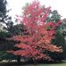 Paula Eley - Facebook