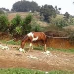 Elmer Paula - @elmer.paula - Instagram