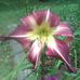 Paula Elmore - Facebook