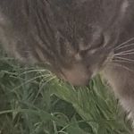 pm - @paula.elmore.73 - Instagram