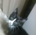 Paula Elms - Facebook