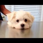 Paula Emrich - @pe069840 - Instagram
