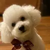 user1950594496737 - @paulaene19 - TikTok