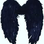 vôo sem Rumo - @paula.fenix.357 - Instagram