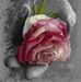 Paula Espino - Facebook