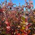 Paula Estill - Facebook