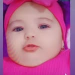 Hoca Nicolaie - @paula_evelina1 - Instagram