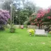 paulafaris358 - @paulafaris358 - TikTok