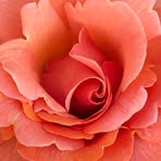 Paula Farris - Facebook