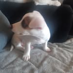 Paula Flood - @paula.flood.3998 - Instagram