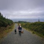 Paula Flood - @polyhops - Instagram