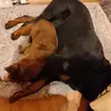 Paula Flood - @paula.flood0 - TikTok