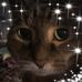 Paula Frey - Facebook