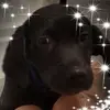 pauladannergeier - @pauladannergeier - TikTok