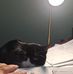 Paula Gerard - Facebook