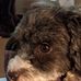 Paula Gerber - Facebook
