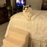 Paula Gerber - @bugsyboy2 - Instagram