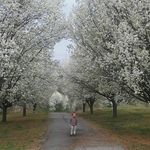 Ryan Gettys - @paula.gettys - Instagram