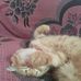 Paula Giles - Facebook