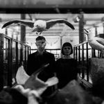 Paula Gillespie Photography - @paulagillespie_photography_ - Instagram