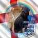 Paula Gilmore - Facebook