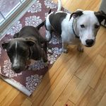 Paula Glazebrook - @paulaglazebrookrealestate - Instagram