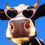 Paula 🐄🥄 - @paula_goetz_ - Instagram