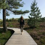 @paula_goetz123 - Instagram