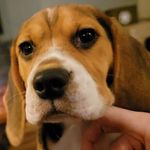 Paula Lynn Guston Goode - @paulagoode - Instagram