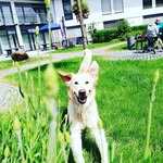 🐕Jule Paula Gräfenbach - @paulagraefenbach - Instagram