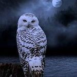 Paula Guthrie - @paulatic.4 - Instagram