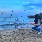 Paula Guthrie - @paulaguthrie59 - Instagram