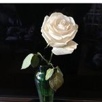Paula J Guthrie-Scott - @paulaguthrie51 - Instagram