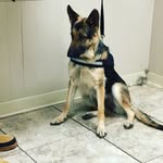 Paula Guyton - @paulag117 - Instagram
