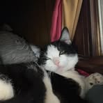 Paula Haddock - Facebook