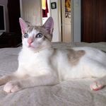 Paula_magalhães - @paula_haddock - Instagram