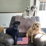 Paula Jo Halsey-Behrens - @paulahalseybehrens - Instagram