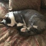 Paula Hammer - @paulahammer48 - Instagram