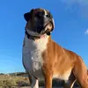 Paula Hammond - @paula.hammond22 - TikTok